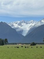 Mt Tasman und Foxgletscher