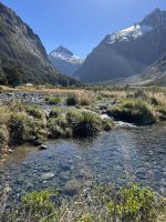 Fiordland NP...auf dem Weg zum Milford Sound