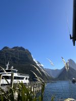 am Milford Sound Schiffsanleger
