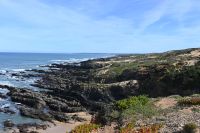 2. Tag - Wanderreise Alentejo - von Hafen zu Hafen (5)