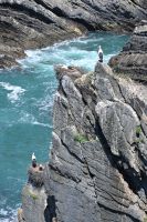 2. Tag - Wanderreise Alentejo - von Hafen zu Hafen (19)