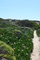 6. Tag - Wanderreise Alentejo - entlang der Küste (15)