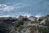 6. Tag - Wanderreise Alentejo - entlang der Küste (20)