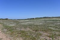 7. Tag - Wanderreise Alentejo - Rio Mira und Milfontes (10)