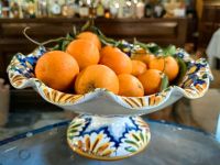 Wie ein Gemälde, hauseigene Orangen in Villa Giulia 