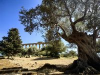Agrigent, Tempel des Juno, größter dorischer Tempel, der je errichtet wurde