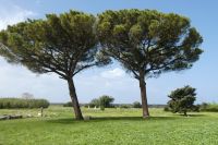 weitläufige Stadt noch nicht ausgegraben