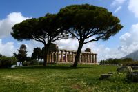 romantisch unter Bäumen