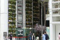 Tokio, Ginza-Viertel