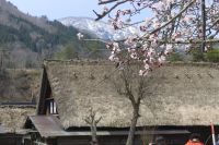 Shirakawago
