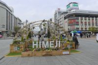 Zwischenstopp in Himeji