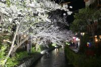 nachts in Kyoto