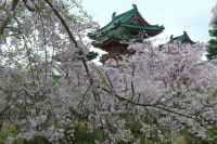 Heian-Jingu-Schrein