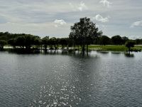 13. Reisetag – Bootstour auf dem South Alligator River im Kakadu-Nationalpark