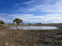 41 Stillleben im Etoscha NP - Wasserloch ohne Tiere