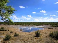 57 Stilleben Wasserloch - Tierfreie Zone