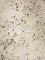 118 Deine Spuren im Sand