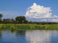 122 Auf dem Okavango