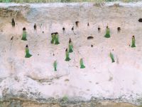 167 Mehrfamilienhaus