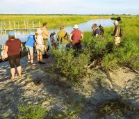 165 Wo bleiben die Getränke...