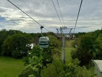 15. Reisetag – Tagesausflug in den Regenwald – Skyrail nach Kuranda