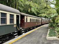 15. Reisetag – Tagesausflug in den Regenwald – Mit der Kuranda Scenic Railway zurück nach Cairns