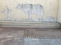 Immer noch ein Rätsel: Wie kamen die Büffel hierher?