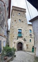 Pollica