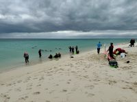 16. Reisetag – Tagesausflug zum Great Barrier Reef – Aufbruch zum Schnorcheln vom Michealmas Cay