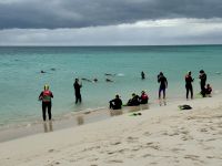 16. Reisetag – Tagesausflug zum Great Barrier Reef – Aufbruch zum Schnorcheln vom Michealmas Cay