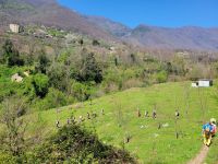 Wanderung von Ravello nach Pontone/Amalfiküste/Italien