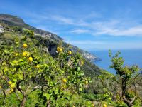 Wanderung auf dem Götterpfad/Amalfiküste/Italien