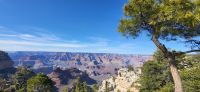 64 Grand Canyon