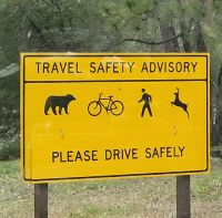 161 auf in den Yosemite Nationalpark