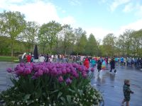 Willkommen im Keukenhof!