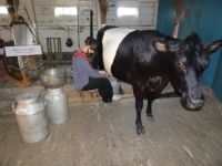 ...... wie alles begann...