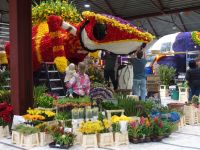 ... die Blumen vorn werden alle noch verbaut...