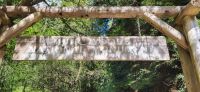 184 Wanderung in Muir Woods