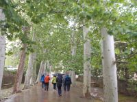 DSCN8822.JPG  bei Regen in Alfabia