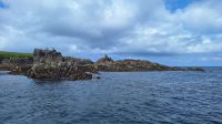 Isles of Scilly: Boot-Safari