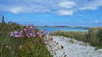 Isles of Scilly, Tresco