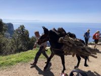... auf dem Götterweg