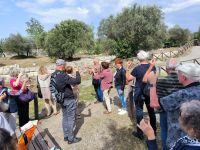 Locri Epizephyrii. Brindisi zum Abschied