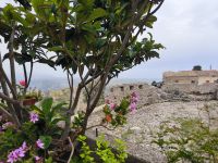 Gerace