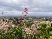 Gerace. Panorama 