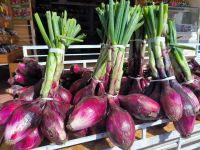 Tropea. Cipolle rosse