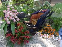Funchal - Promenade