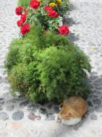 Schattensuche geglückt