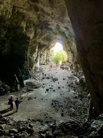 Cova des Coloms