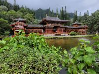 018 Hawaii - Inselrundfahrt Oahu